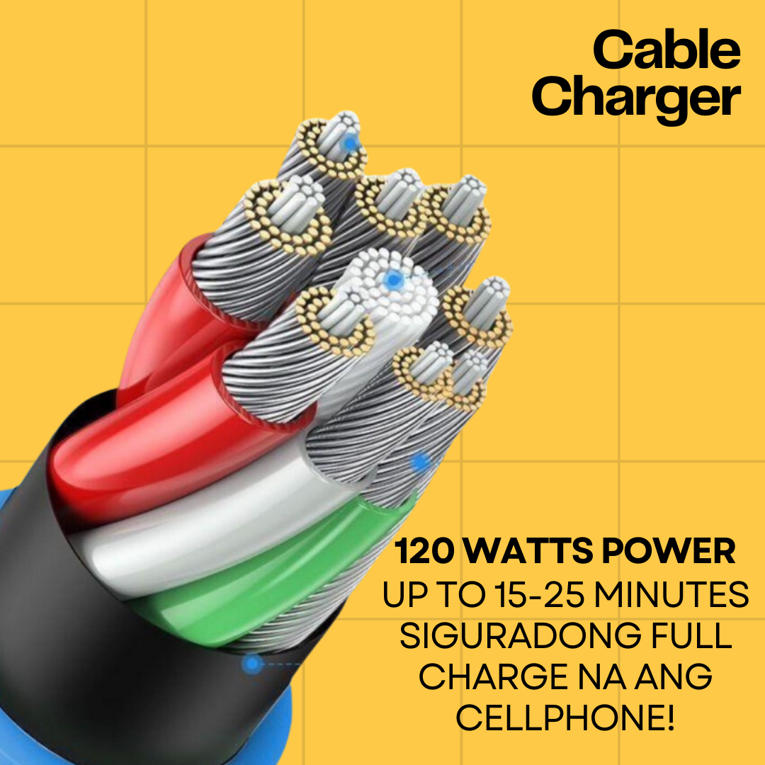 FAST Cable Charger